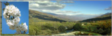 Valle del Jerte