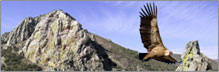 Parque nacional de Monfrag&uuml;e