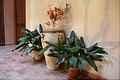 Casa Rural Huelva, Turismo Rural Huelva, Andaluc�a
