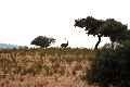 Casa Rural C�ceres, Turismo Rural C�ceres, Extremadura