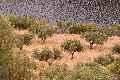 Casa Rural C�ceres, Turismo Rural C�ceres, Extremadura