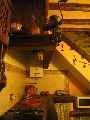 Casa Rural M�laga, Turismo Rural M�laga, Andaluc�a