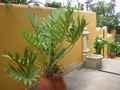 Casa Rural Sta. Cruz de Tenerife, Turismo Rural Sta. Cruz de Tenerife, Canarias