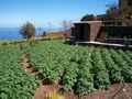 Casa Rural Sta. Cruz de Tenerife, Turismo Rural Sta. Cruz de Tenerife, Canarias