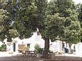 Casa Rural Granada, Turismo Rural Granada, Andaluc�a