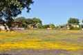 Casa Rural C�ceres, Turismo Rural C�ceres, Extremadura