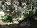 Casa Rural Granada, Turismo Rural Granada, Andaluc�a