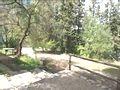 Casa Rural C�diz, Turismo Rural C�diz, Andaluc�a