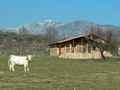 Casa Rural C�ceres, Turismo Rural C�ceres, Extremadura