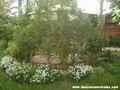 Casa Rural �vila, Turismo Rural �vila, Castilla y Le�n