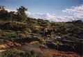 Casa Rural C�ceres, Turismo Rural C�ceres, Extremadura