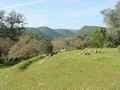 Casa Rural C�rdoba, Turismo Rural C�rdoba, Andaluc�a