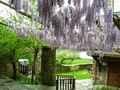 Casa Rural Lugo, Turismo Rural Lugo, Galicia