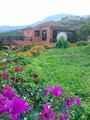Casa Rural Sta. Cruz de Tenerife, Turismo Rural Sta. Cruz de Tenerife, Canarias