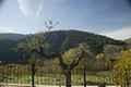 Casa Rural Zaragoza, Turismo Rural Zaragoza, Arag�n