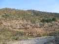 Casa Rural Almer�a, Turismo Rural Almer�a, Andaluc�a