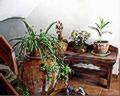 Casa Rural Huesca, Turismo Rural Huesca, Arag�n