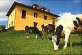 Casa Rural Asturias, Turismo Rural Asturias, Principado de Asturias