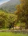 Casa Rural Huelva, Turismo Rural Huelva, Andaluc�a