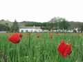 Casa Rural C�rdoba, Turismo Rural C�rdoba, Andaluc�a