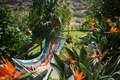 Casa Rural Sta. Cruz de Tenerife, Turismo Rural Sta. Cruz de Tenerife, Canarias