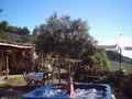 Casa Rural Las Palmas, Turismo Rural Las Palmas, Canarias