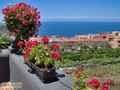 Casa Rural Sta. Cruz de Tenerife, Turismo Rural Sta. Cruz de Tenerife, Canarias