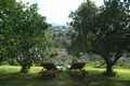 Casa Rural Baleares, Turismo Rural Baleares, Islas Baleares