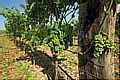 Casa Rural Baleares, Turismo Rural Baleares, Islas Baleares