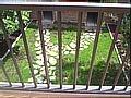 Casa Rural Huesca, Turismo Rural Huesca, Arag�n