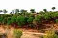 Casa Rural M�laga, Turismo Rural M�laga, Andaluc�a