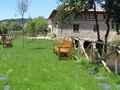 Casa Rural Palencia, Turismo Rural Palencia, Castilla y Le�n
