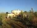 Casa Rural Ja�n, Turismo Rural Ja�n, Andaluc�a