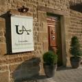 Casa Rural Zaragoza, Turismo Rural Zaragoza, Arag�n