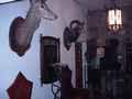 Casa Rural Ciudad Real, Turismo Rural Ciudad Real, Castilla La Mancha
