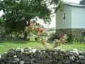 Casa Rural Zamora, Turismo Rural Zamora, Castilla y Le�n
