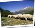 Casa Rural Huesca, Turismo Rural Huesca, Arag�n