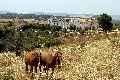 Casa Rural C�diz, Turismo Rural C�diz, Andaluc�a