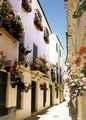 Casa Rural C�rdoba, Turismo Rural C�rdoba, Andaluc�a