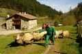 Casa Rural Vizcaya, Turismo Rural Vizcaya, Pa�s Vasco