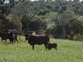 Casa Rural Salamanca, Turismo Rural Salamanca, Castilla y Le�n