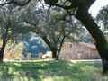 Casa Rural Huelva, Turismo Rural Huelva, Andaluc�a